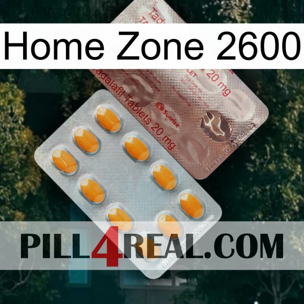 Home Zone 2600 new13.jpg